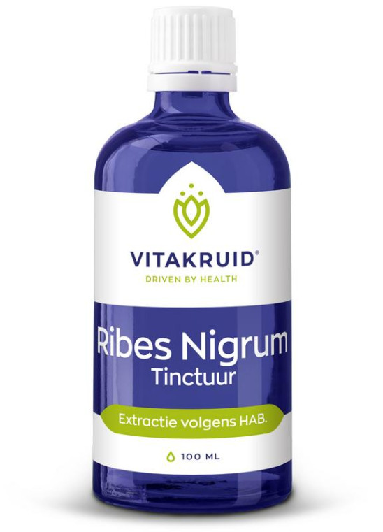 Ribes nigrum tinctuur van Vitakruid