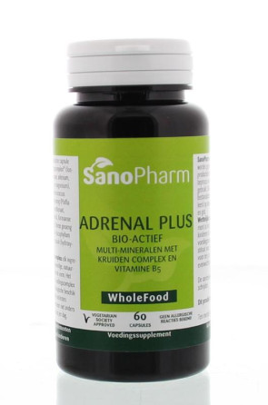 Ginseng complex (voorheen Adrenal plus wholefood) van Sanopharm : 60 capsules 