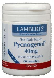 Pycnogenol Lamberts Pijnboombast extract