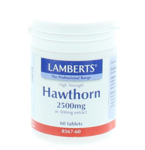 Crataegus hawthorn Lamberts 60 