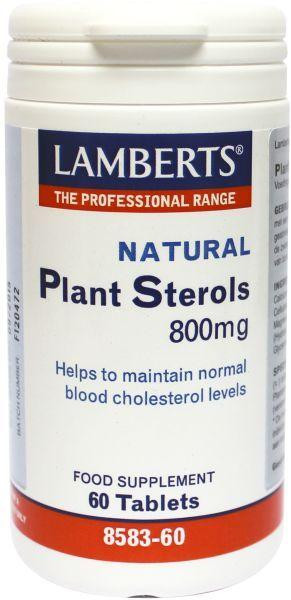 Plant sterolen 800 mg Lamberts 60 