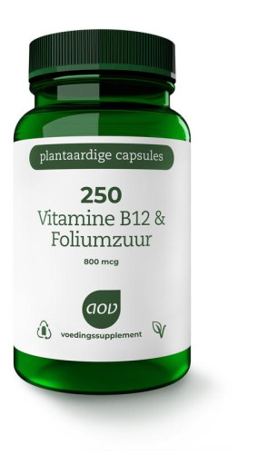 250 Vitamine B12 & foliumzuurAOV 60