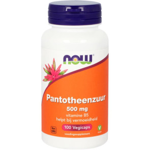  NOW Pantotheenzuur B5 500mg NOW 100