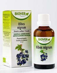 Ribes nigrum bio van Biover (50 ml)
