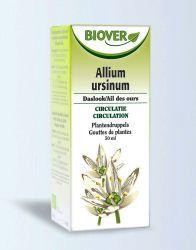 Allium ursinum tinctuur bio van Biover (50 ml)