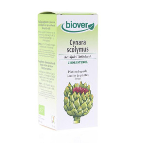 Cynara scolymus tinctuur bio van Biover (50 ml)