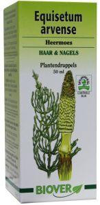Equisetum arvense tinctuur bio van Biover (50 ml)