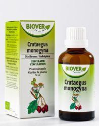 Crataegus monogyna bio van Biover (50 ml)
