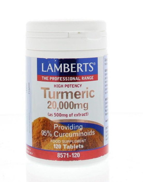 Curcuma turmeric Lamberts