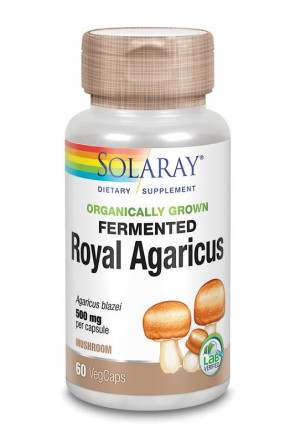 Agaricus gefermenteerd 500 mg  Solaray 60