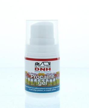 Procaine gel van DNH : 50 ml
