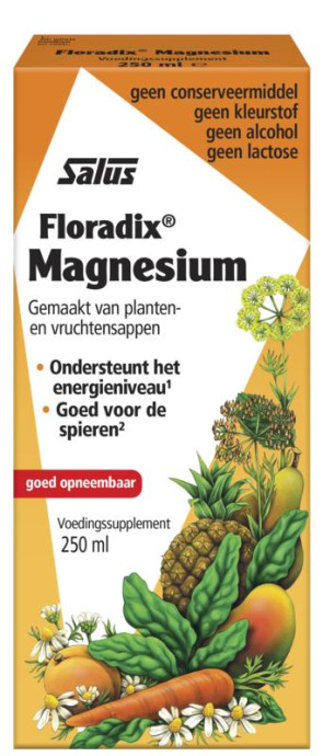 Floradix magnesium 250