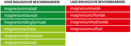 Magnesium en biologische beschikbaarheid